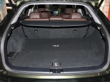 Lexus RX 13