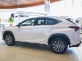 Lexus NX 19