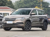 Skoda Karoq 17