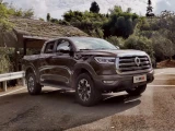 Great Wall Poer 20