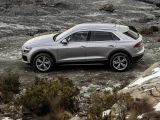 Audi Q8 22