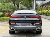 BMW X6 6