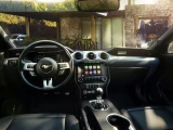 Ford Mustang 8