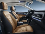 Volkswagen Passat 24