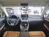 Lexus NX 13