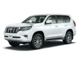 Toyota Land Cruiser Prado 19