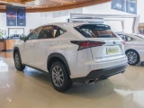 Lexus NX 18