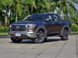 Great Wall Poer 24