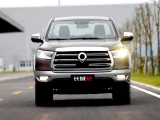 Great Wall Poer 22