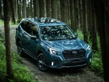 Subaru Forester 17