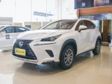 Lexus NX 21