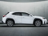 Lexus UX 19