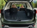 Subaru Forester 17