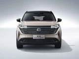 Nissan Pathfinder 6