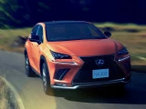 Lexus NX300 7