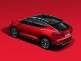 Volkswagen Tayron X 14