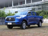 Great Wall Poer 17