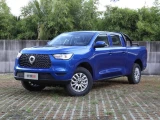Great Wall Poer 18