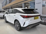 Lexus RX450h+ 9