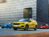 Skoda Kamiq 12