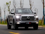 Great Wall Poer 21
