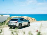 Lexus UX250h 7