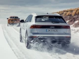 Audi Q8 18