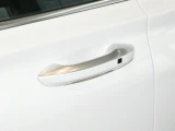 Hyundai Santa Fe 20