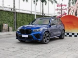 BMW X5 21