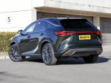 Lexus RX450h+ 19