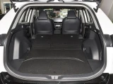 Toyota Wildlander 0