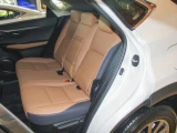 Lexus NX 10