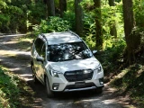 Subaru Forester 19