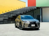 Lexus UX250h 13