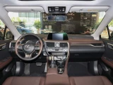 Lexus RX 17